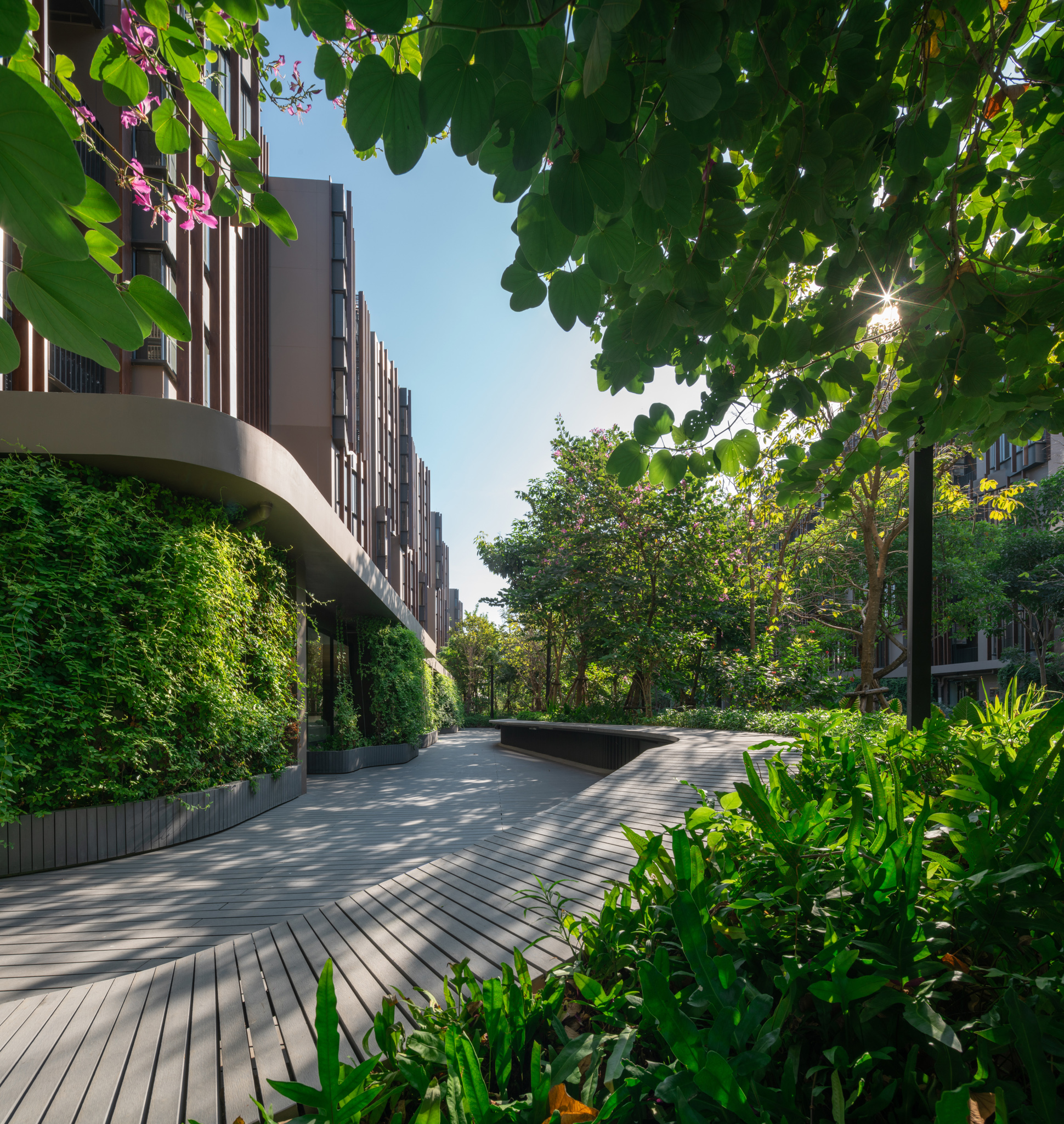 泰国金福林生活综合体-57