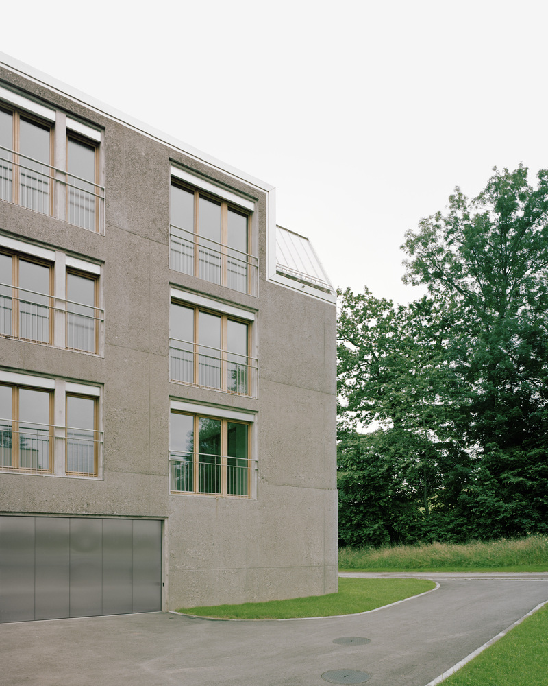 瑞士乡村豪华公寓丨Deschenaux Architects-29