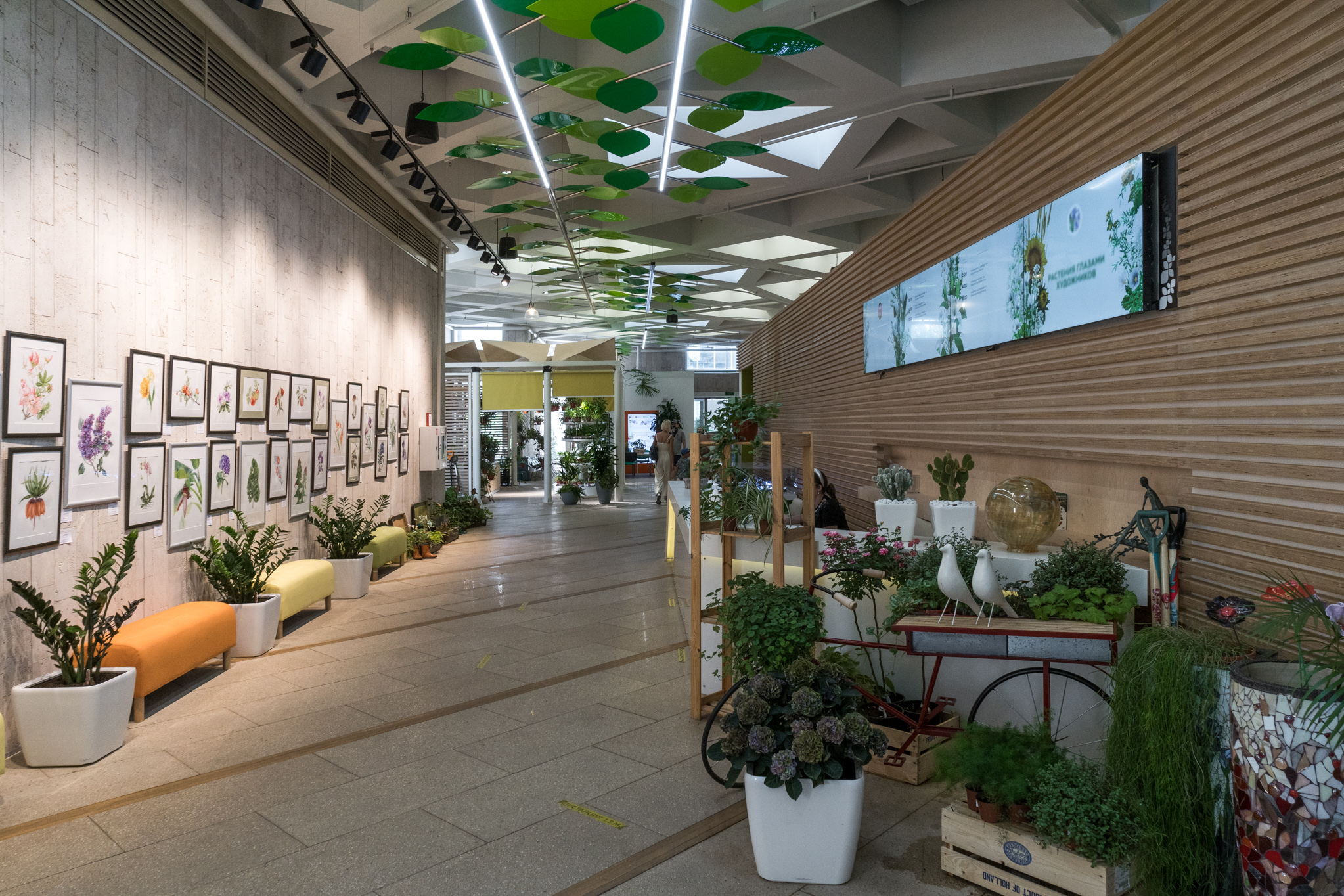 Pavilion №29 Floriculture and gardening-9