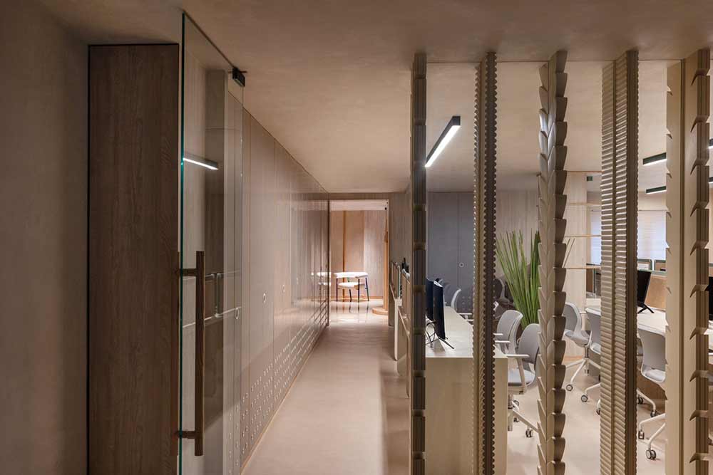 叶线2024年1月-15