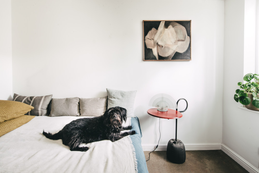 伦敦东区鲍尔出租公寓的改造之旅-2