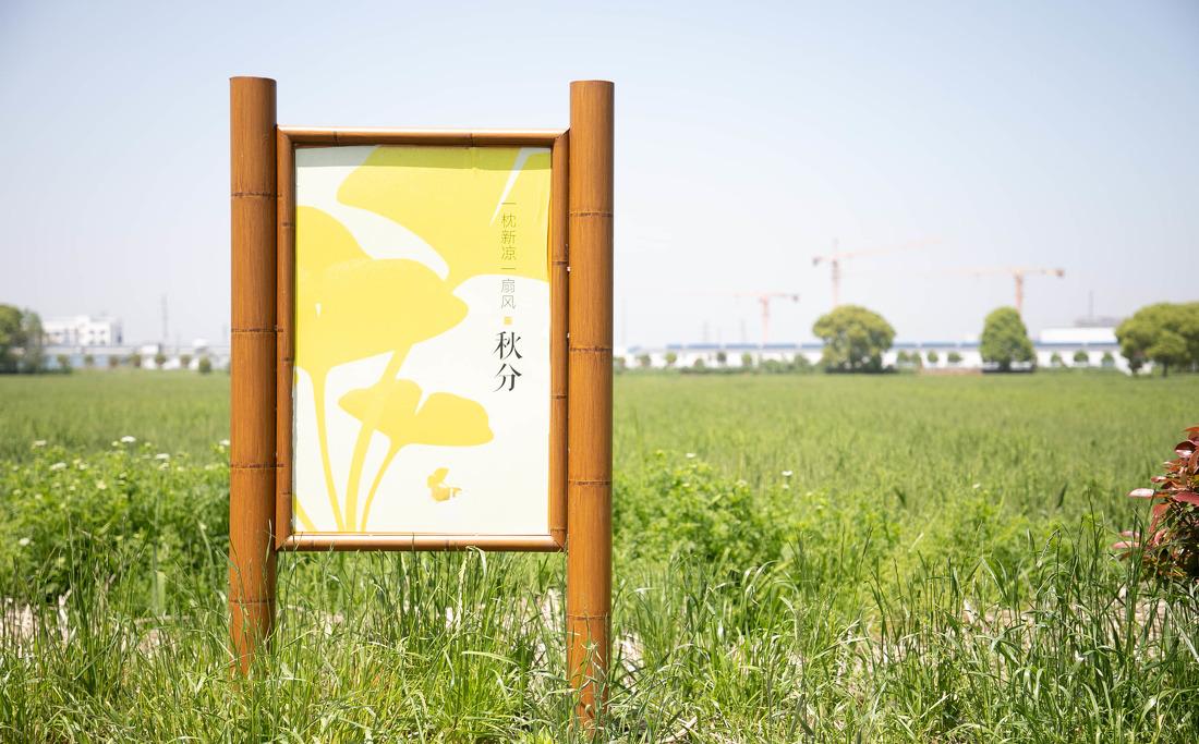 苏州市震泽镇“五美三优”乡村改造丨中国苏州-13