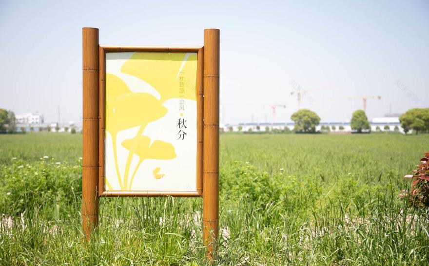 苏州市震泽镇“五美三优”乡村改造丨中国苏州-13