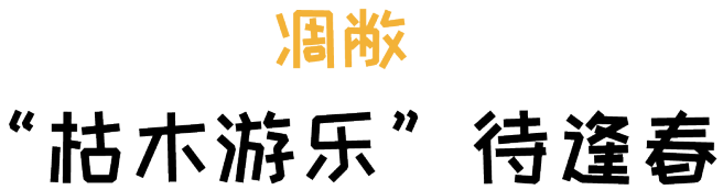 阿飞森林主题乐园 | 种子生长之旅的室内设计亮点-141