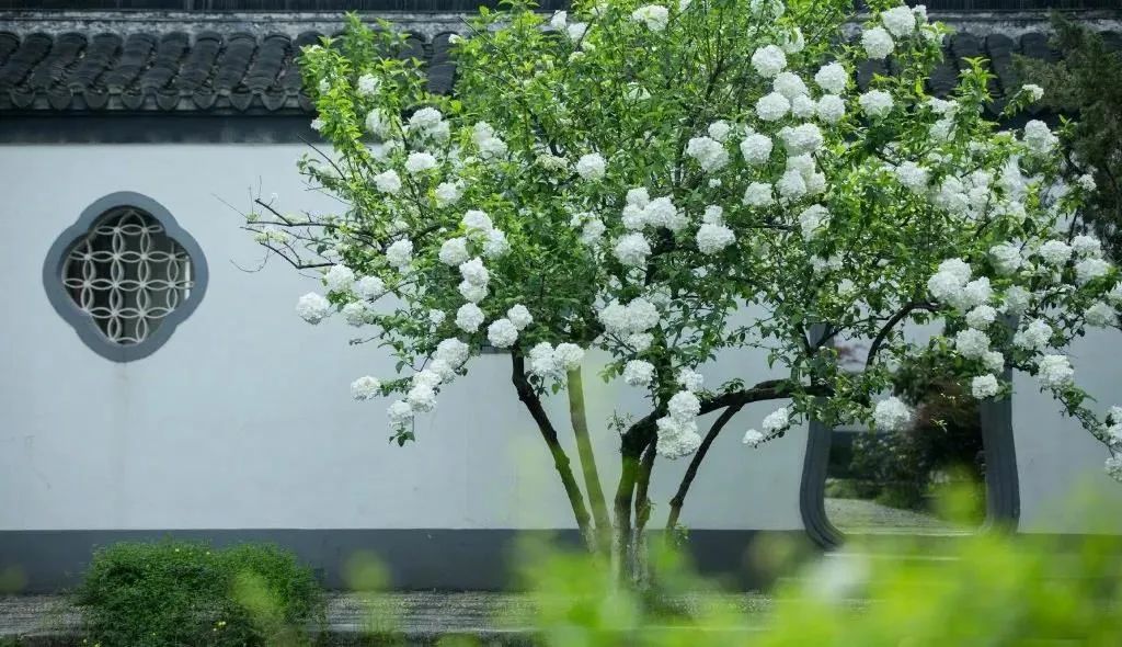 简约北欧风，打造温馨宜居空间-4