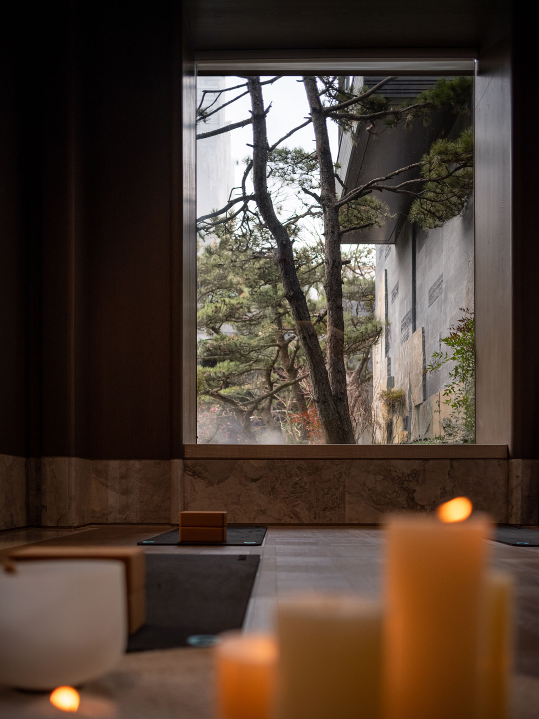 光影织境 东方臻园-0