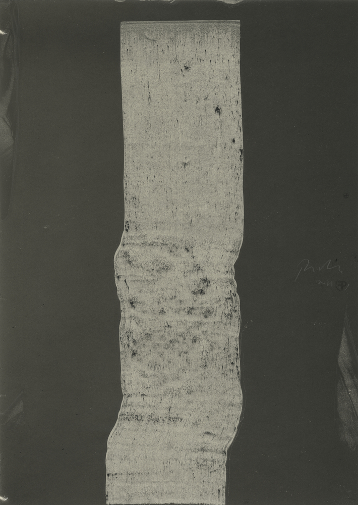 智利垂直景观公园 · 融合自然的艺术雕塑-56