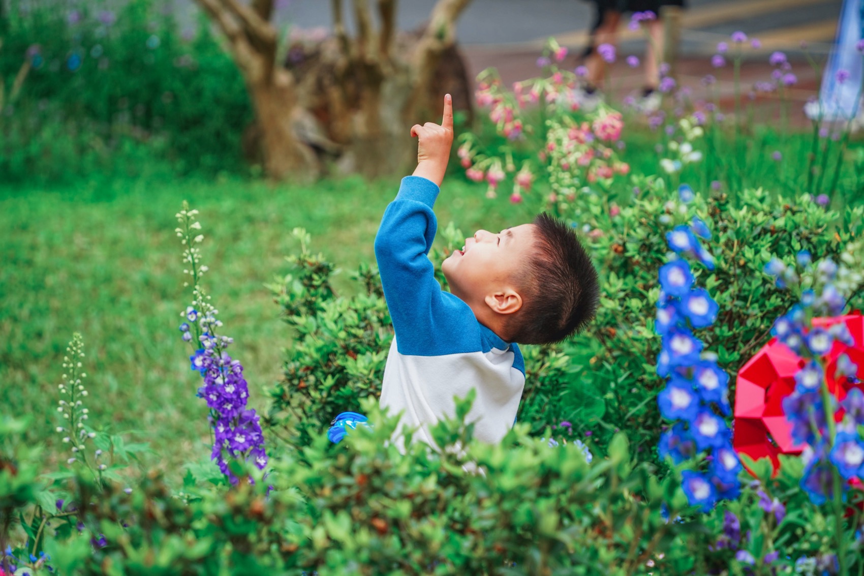 互动视听花园,深圳 / 华南理工大学建筑学院风景园林系-72