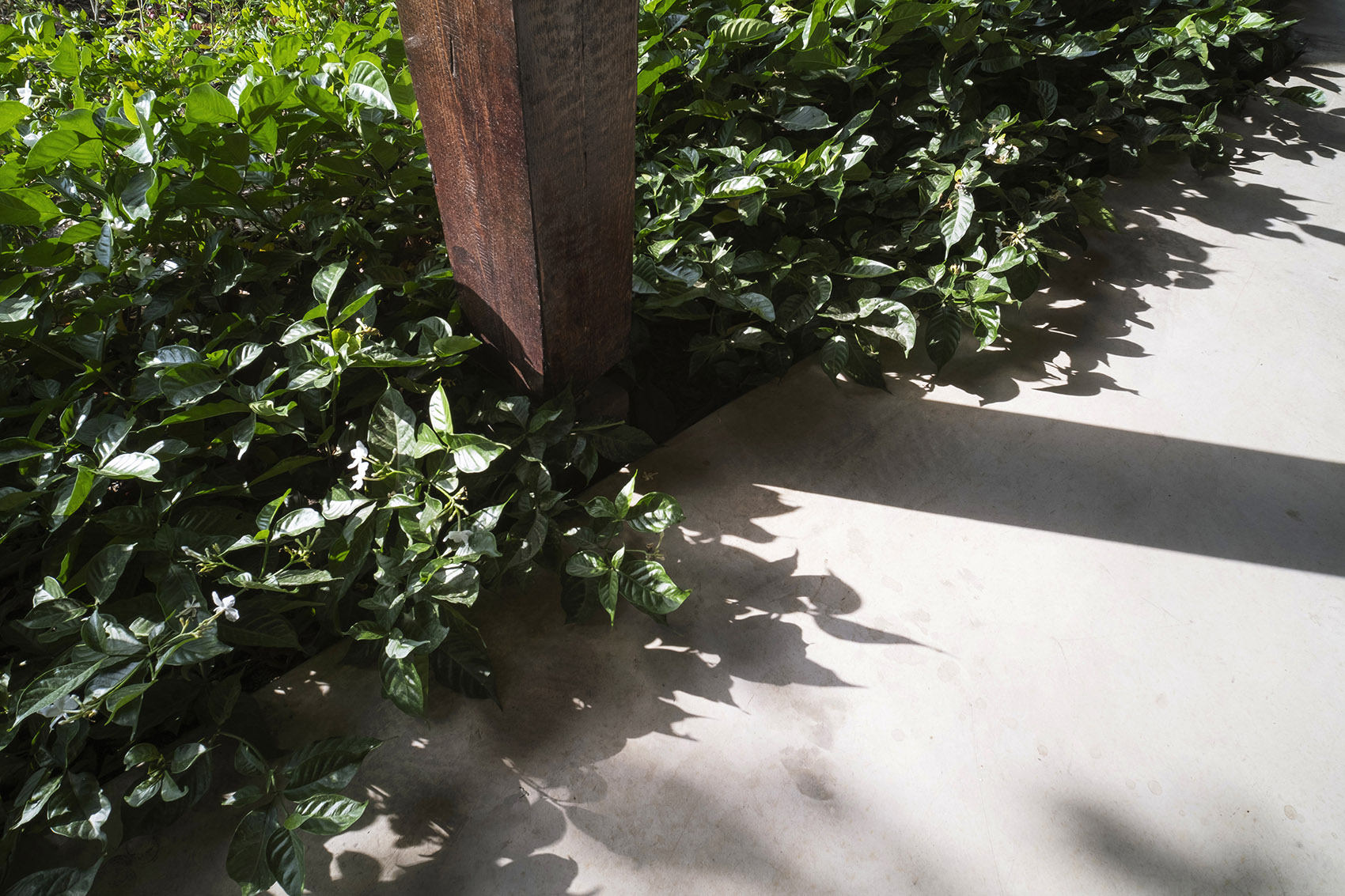 PHU MY GARDEN花园建筑，越南 / TAA Design-38