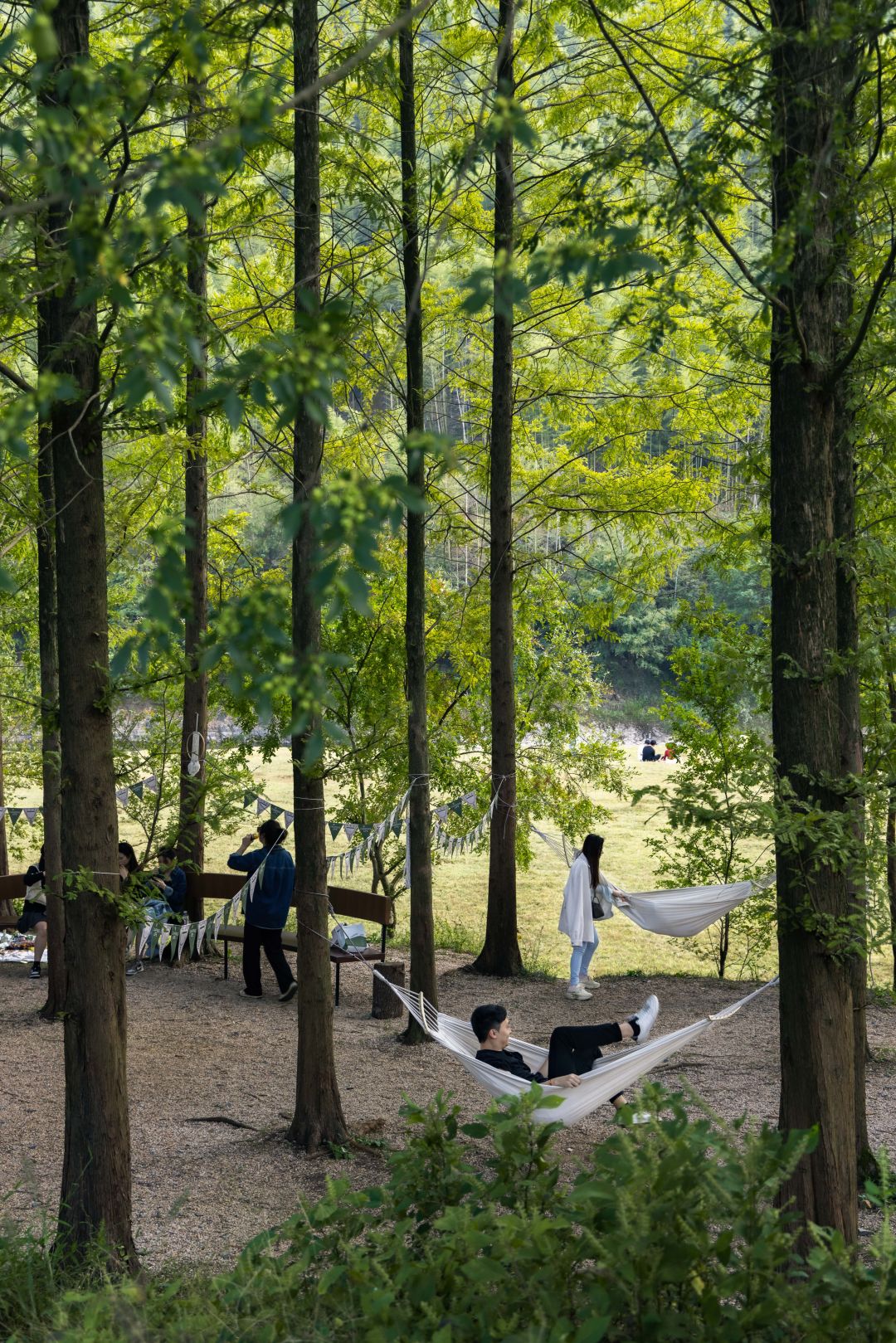 数一轮晨夕 折一朵明媚 | 安吉小杭坑营地-89