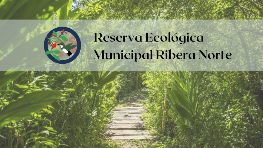 Reserva Ecológica Urbana(城市生态保护区)丨Meta Paisaje教席团队(Vanesa Salas等)-3