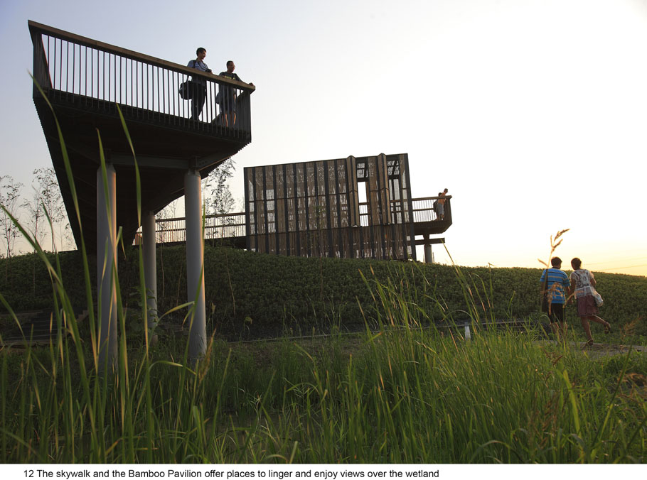 西安雁南公园（二期）丨中国西安丨土人设计（Turenscape）-250