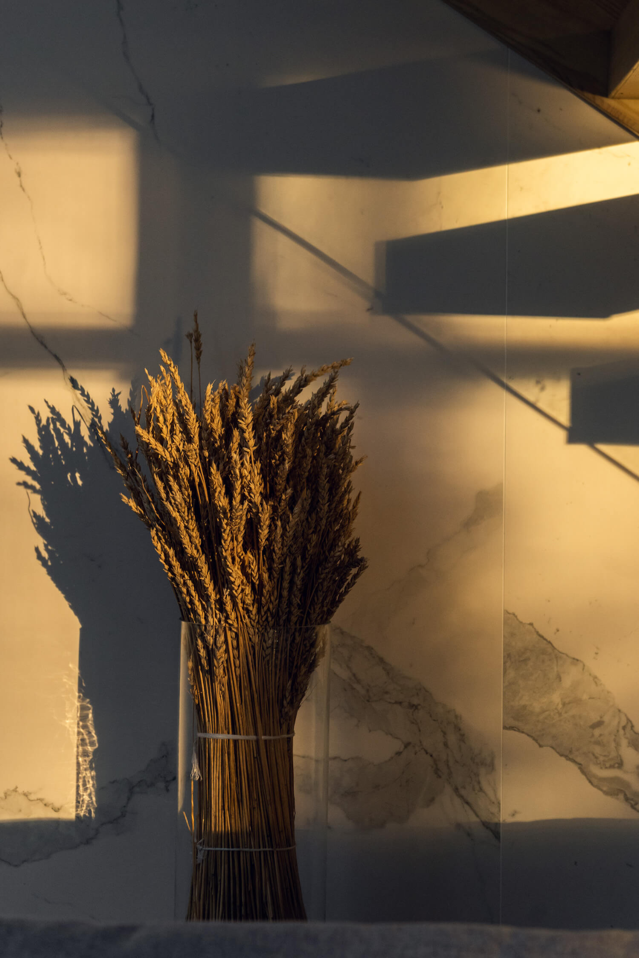 博罗沃伊别墅丨哈萨克斯坦丨Kvadrat Architects-41