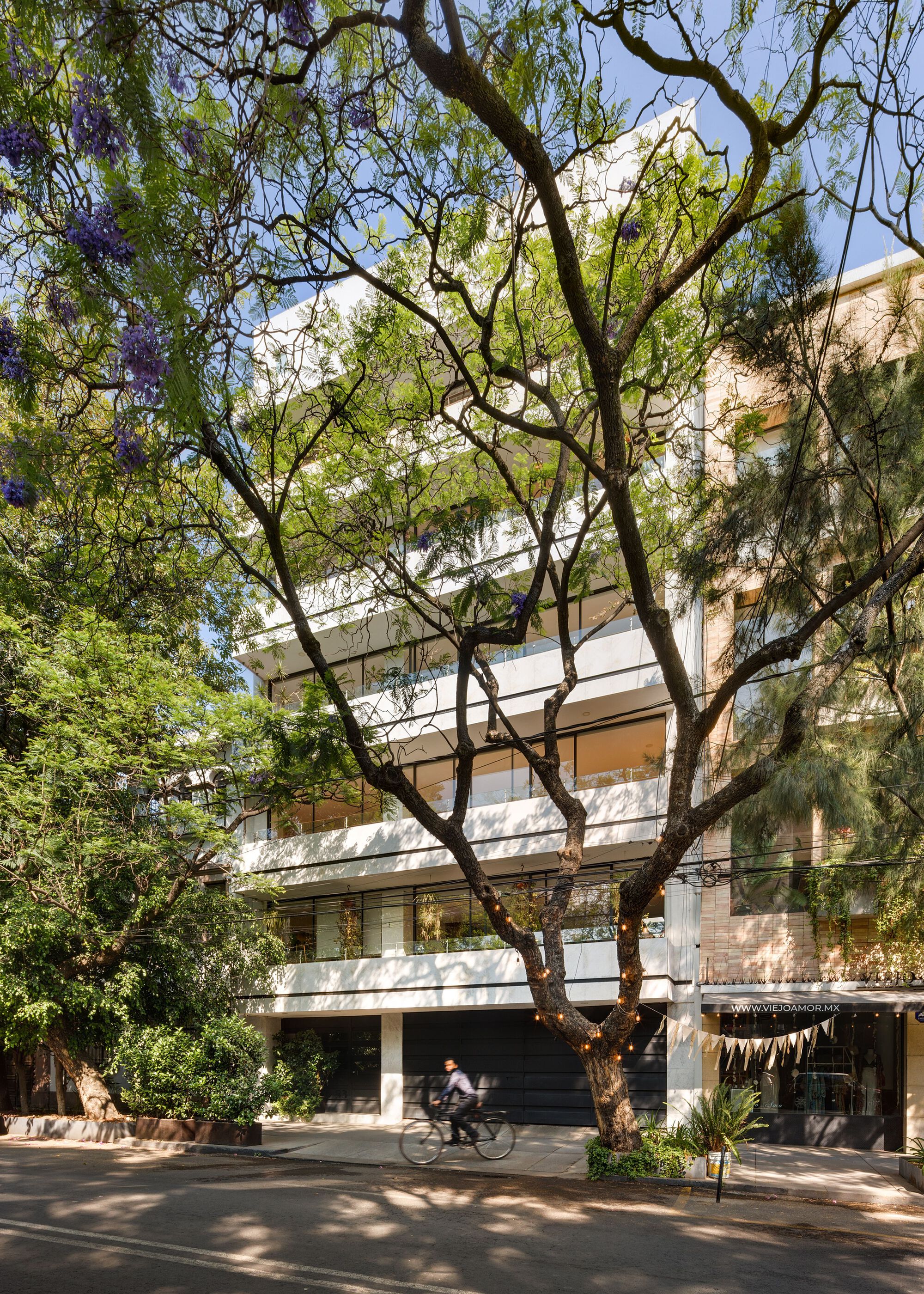 AT83 公寓改造丨墨西哥墨西哥城丨Eterea Studio-19