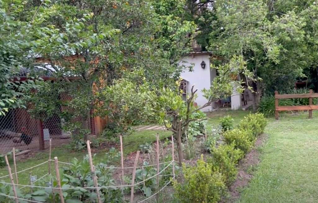 Jardinera Científica的花园（含菜园和鸟类喷泉）丨Dalila（Jardinera Científica）-51