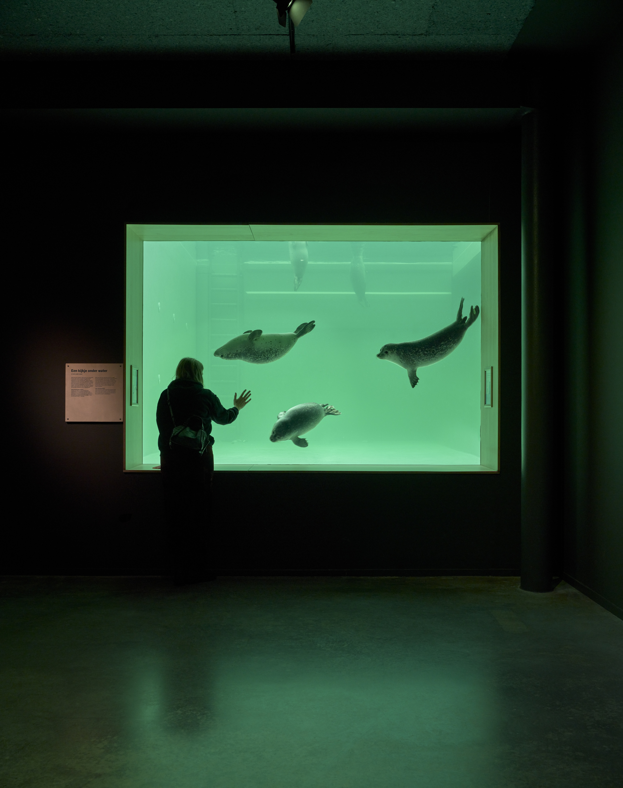 瓦登海世界遗产中心丨荷兰丨Dorte Mandrup-45