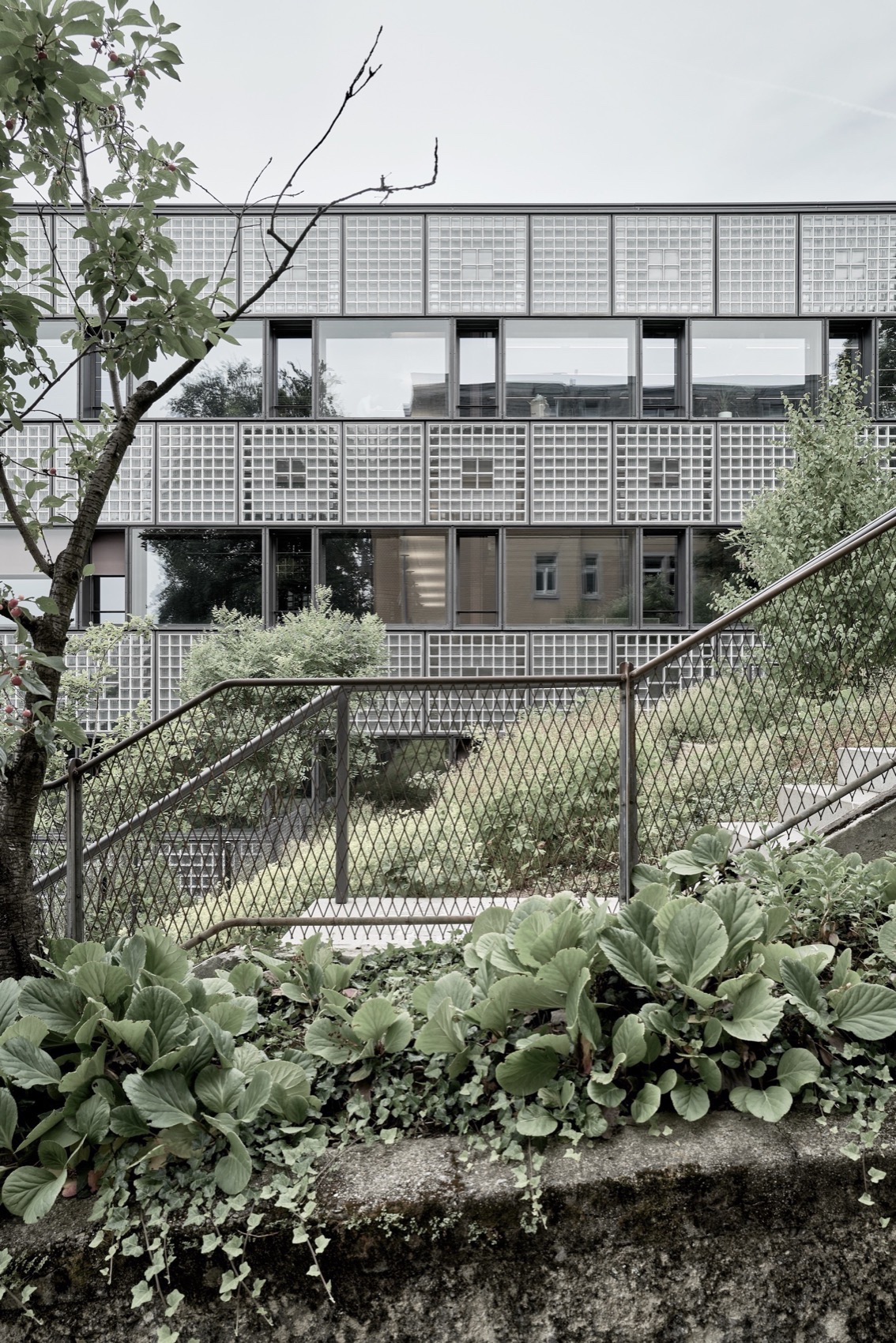 GLC 研究大楼丨瑞士苏黎世丨Boltshauser Architekten-182