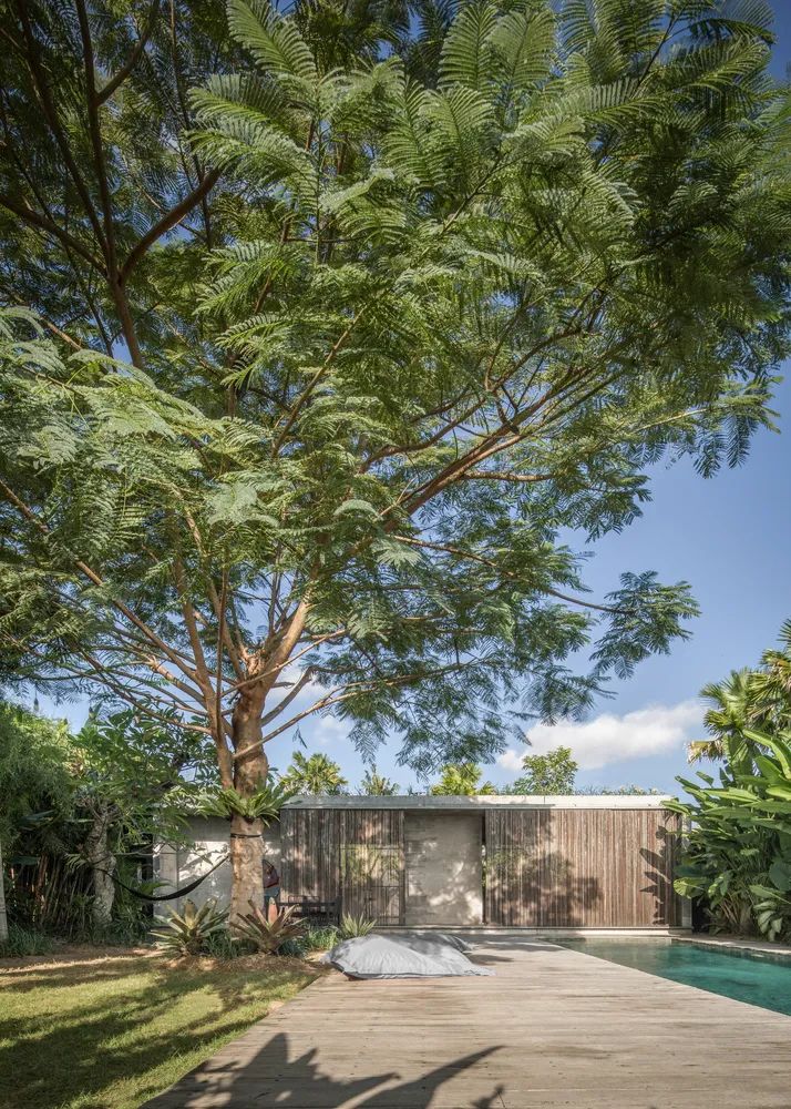 印度尼西亚 800㎡私密住宅,绿色景观中的混凝土盒子-20