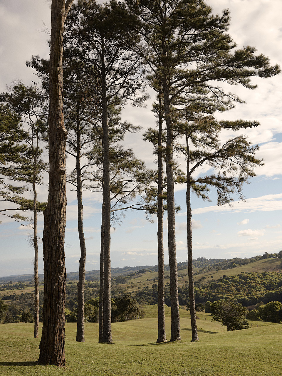 Coopers Shoot住宅丨澳大利亚丨建筑师Polly Harbison,室内Tigmi-105
