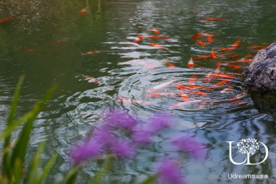 江苏常州溪栖庄园 | 地中海风格庭院,悠境景观的浪漫之作-26