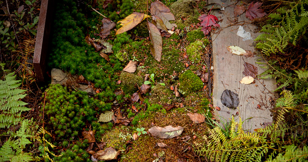 阿卡迪亚庄园-9