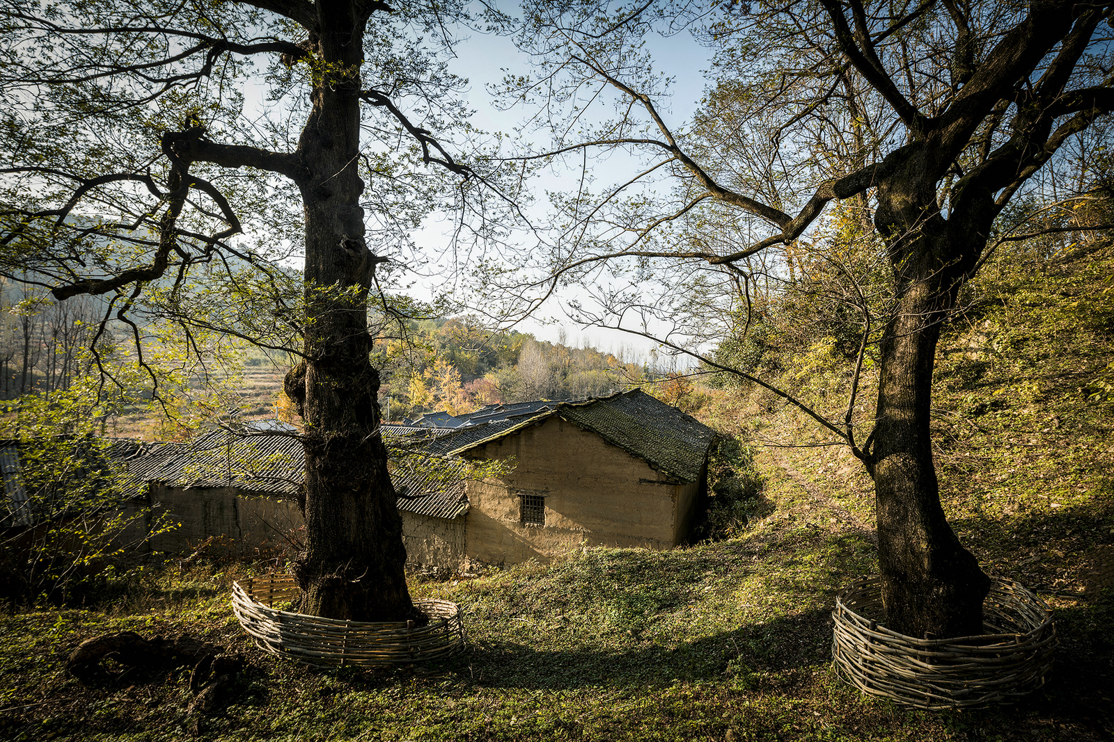 信阳老宅丨中国信阳丨埂上设计-4