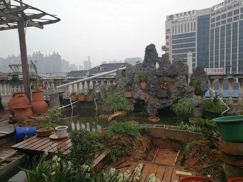 不惑之年,他自己动手建了一座楼顶花园,养花种菜喂鱼……-74
