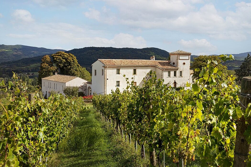 卡萨多纳皇家丨意大利丨Studio Leonardoproject-11