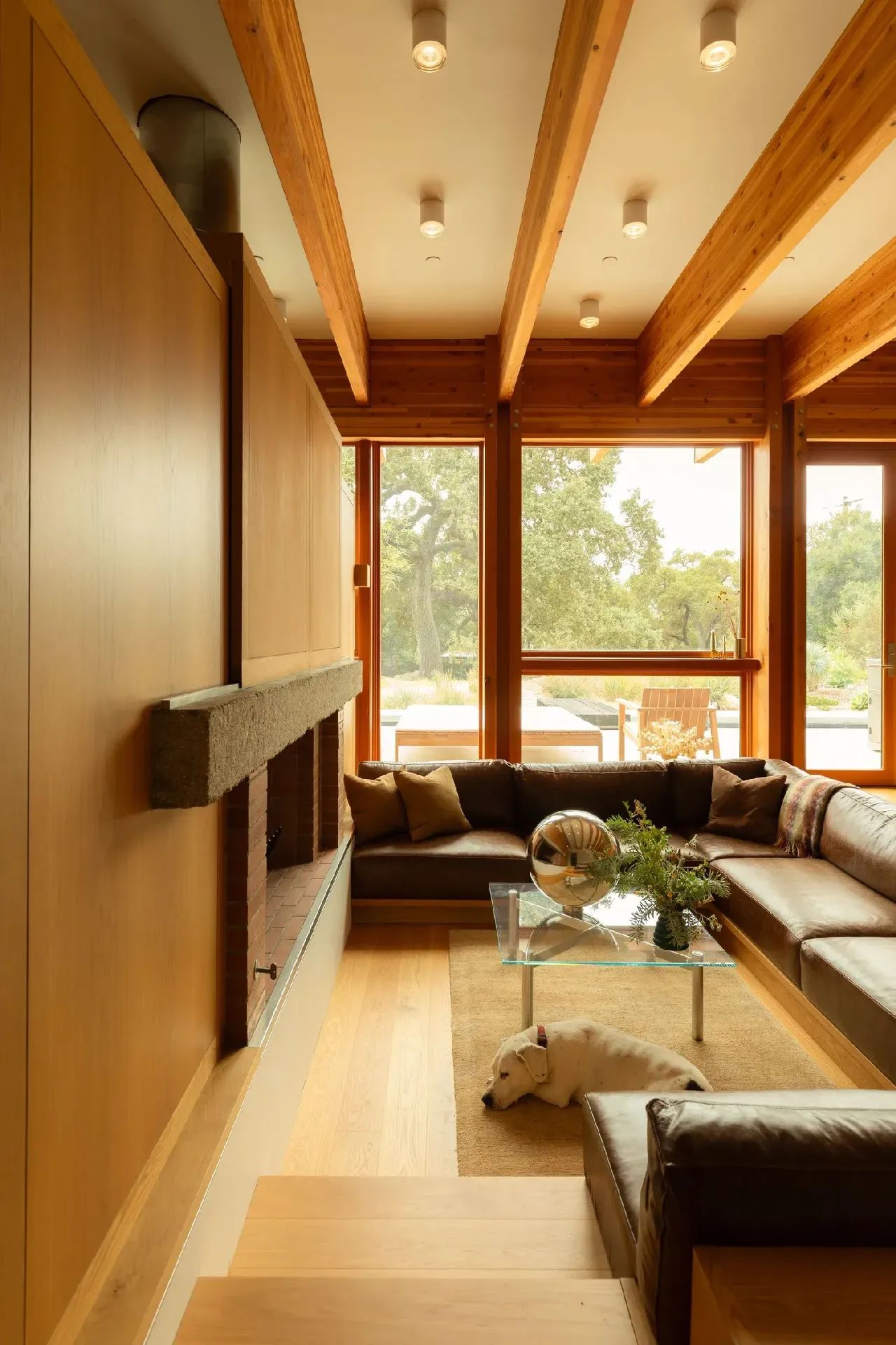 丨美国密歇根丨Norman Carver-114