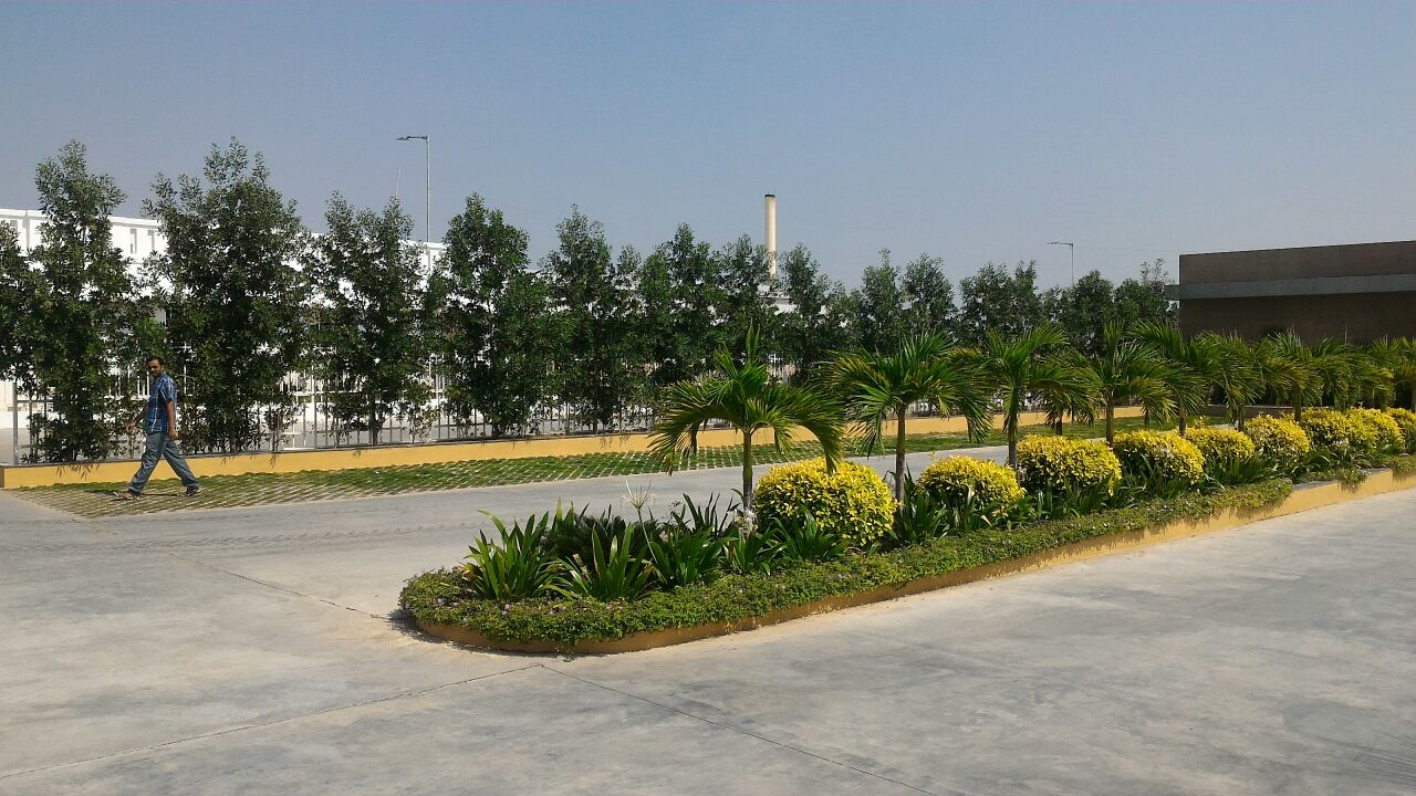 Sneha farms 鸡加工厂-11