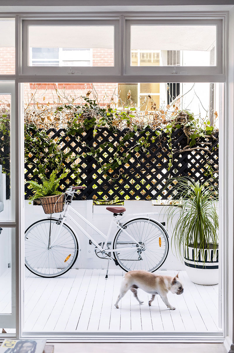 活力澳洲现代设计-18