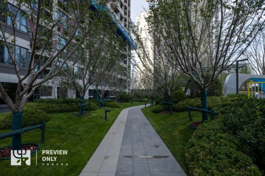 园路列植设计丨上景总工办-96