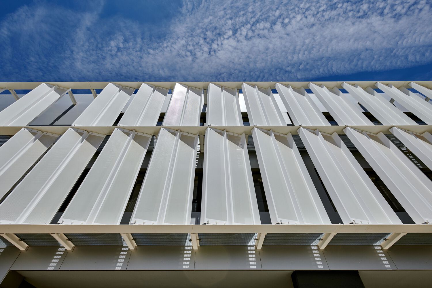 西班牙 Elche 市 77A 建筑-56