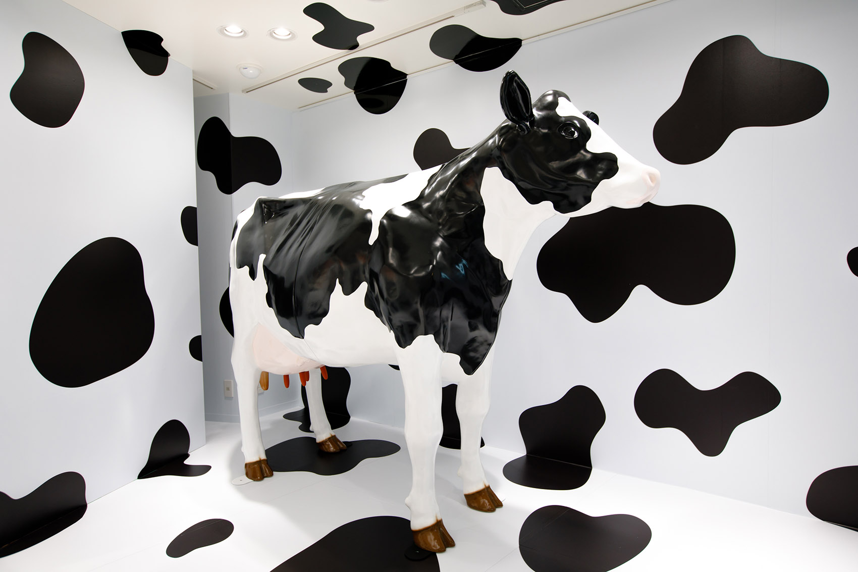 北海道奶制产品商店,日本涩谷 / Ryusuke Nanki-33