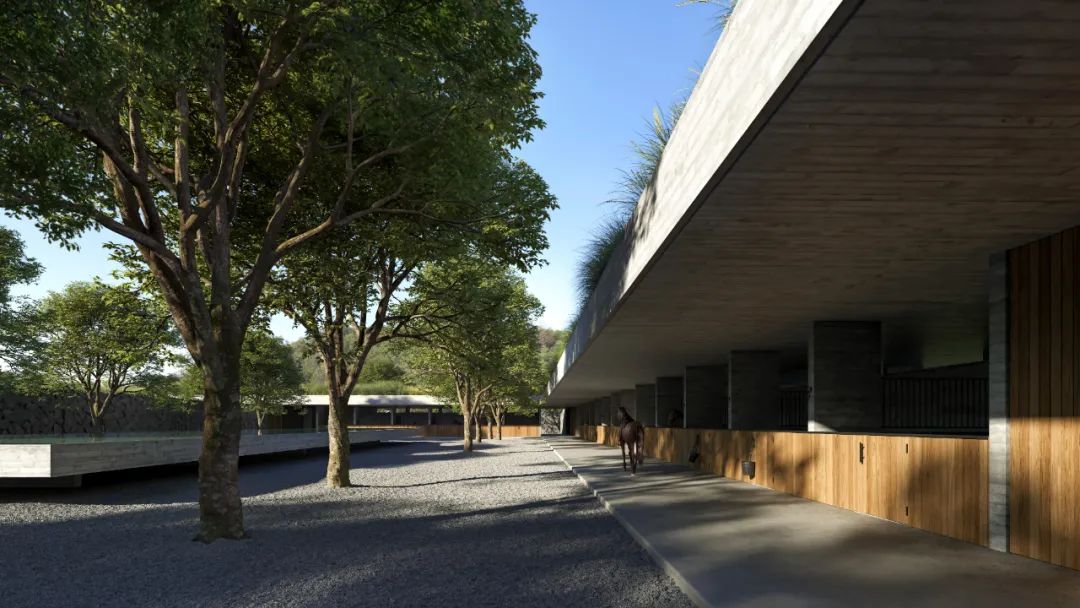 Guenoc Napa Valley 马术度假村丨Estudio Ramos-34