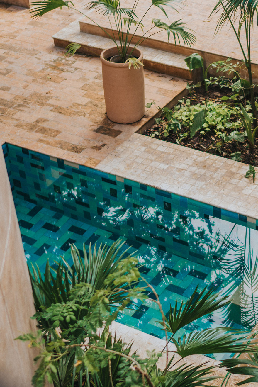 CIGNO酒店,墨西哥,CIGNO MEJORADA丨建筑:罗赫尔·埃斯卡兰特,室内:斯塔西·埃切维里亚-15