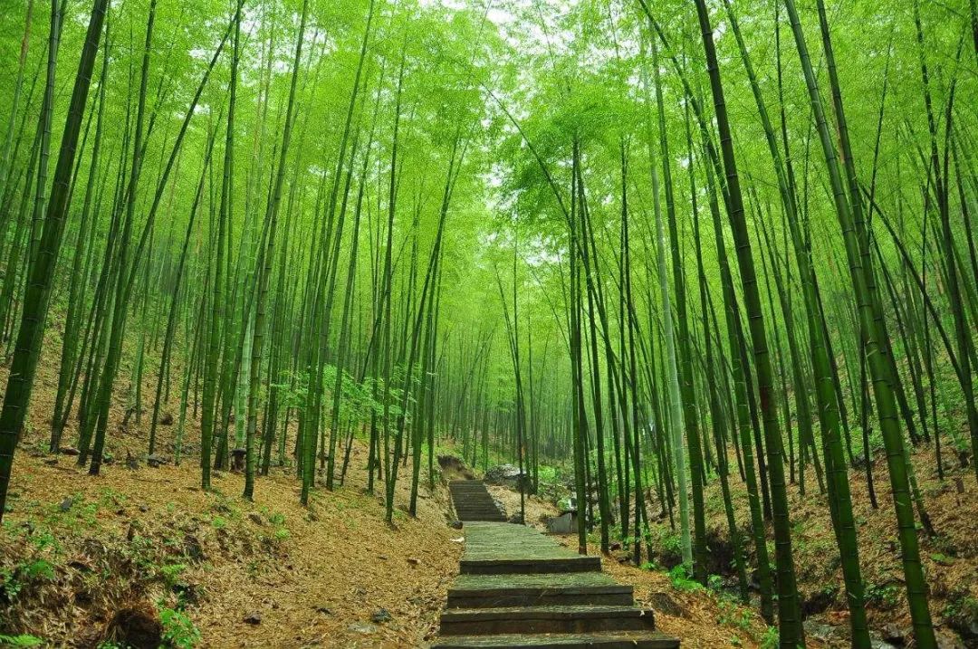 无锡太湖剧院-29