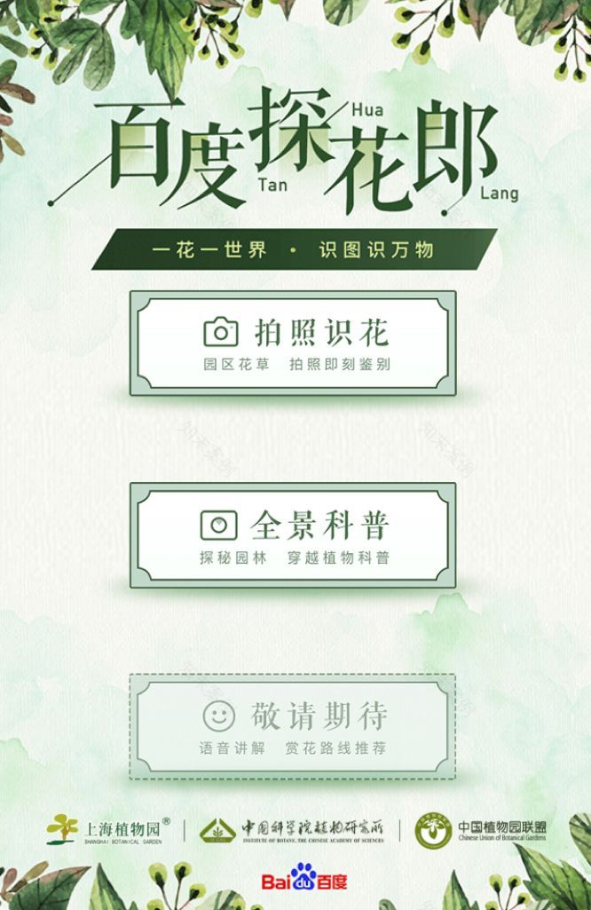 百度推出“AI植物园计划”,从此打开手机就能认识花花草草了!-42