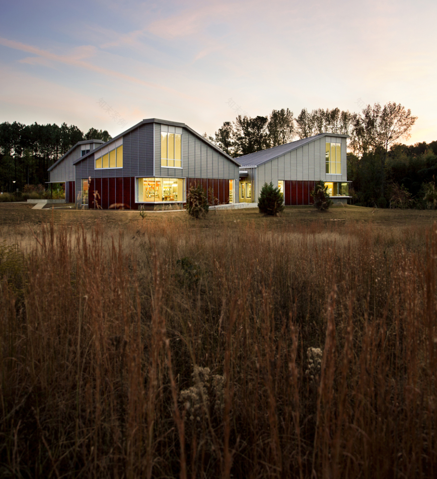 Palmetto图书馆-31