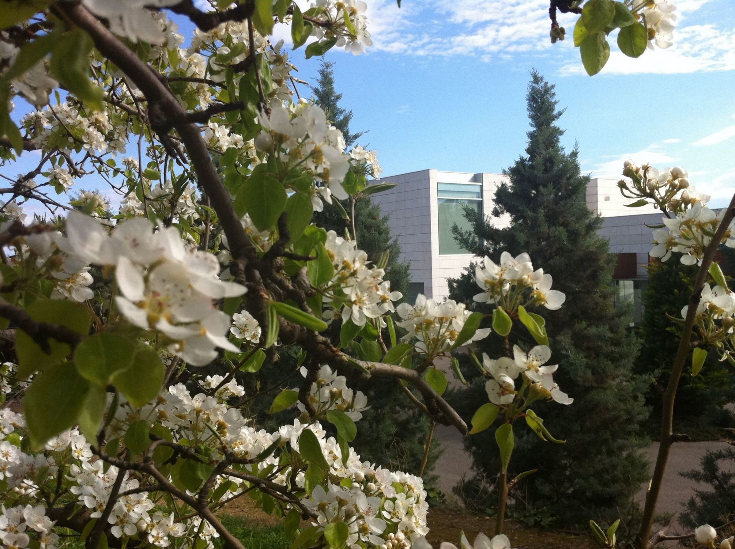 地形融入的绿色多功能酒店设计-25