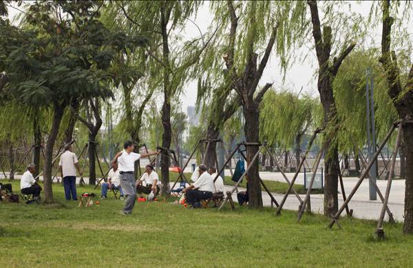 Dragon Lake Bridge Park · 蚌埠打造新滨水区丨中国蚌埠丨AECOM（洛杉矶）-16