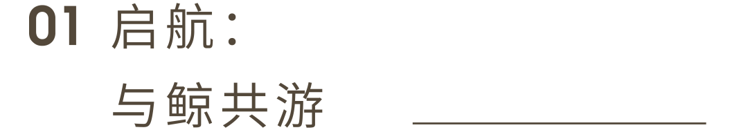 鲸鸣之境 · 武汉联投国际城的心灵栖息地设计丨中国武汉丨北京地点空间装饰设计有限公司-8