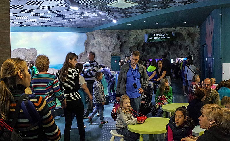 “Moskvarium”海洋馆丨俄罗斯莫斯科丨Aqua Logo Engineering-113