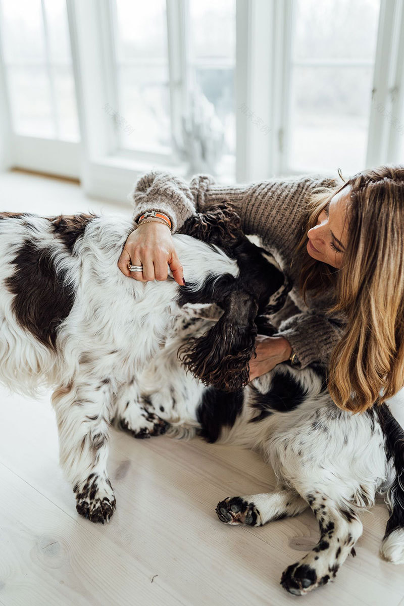 瑞典西海岸 Alvhem 创始人家的温馨家居-7