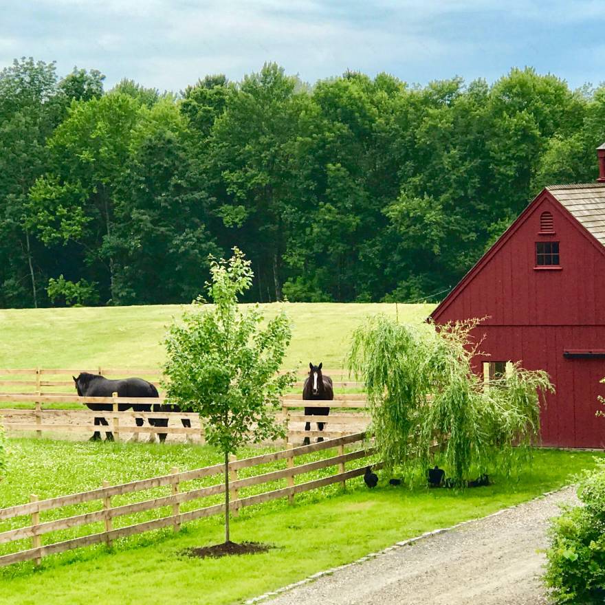 探索全球特色农场度假屋,告别城市生活-0