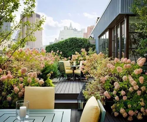 木板碰上花园，美的一塌糊涂！-37