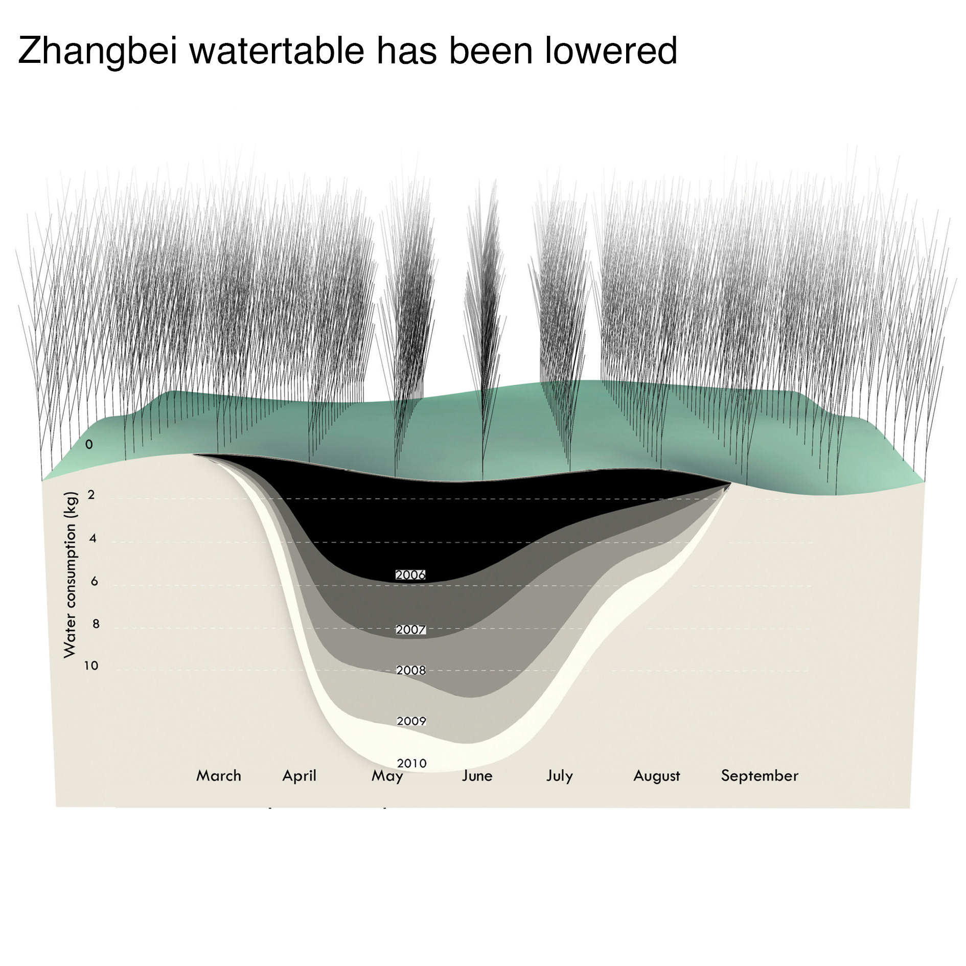 Debate on the 'Green': Shelterbelt Plantation-15
