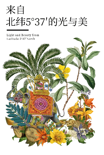 泰爽金海乐世界店丨中国昆明丨AURORA DESIGN 艾洛设计-2