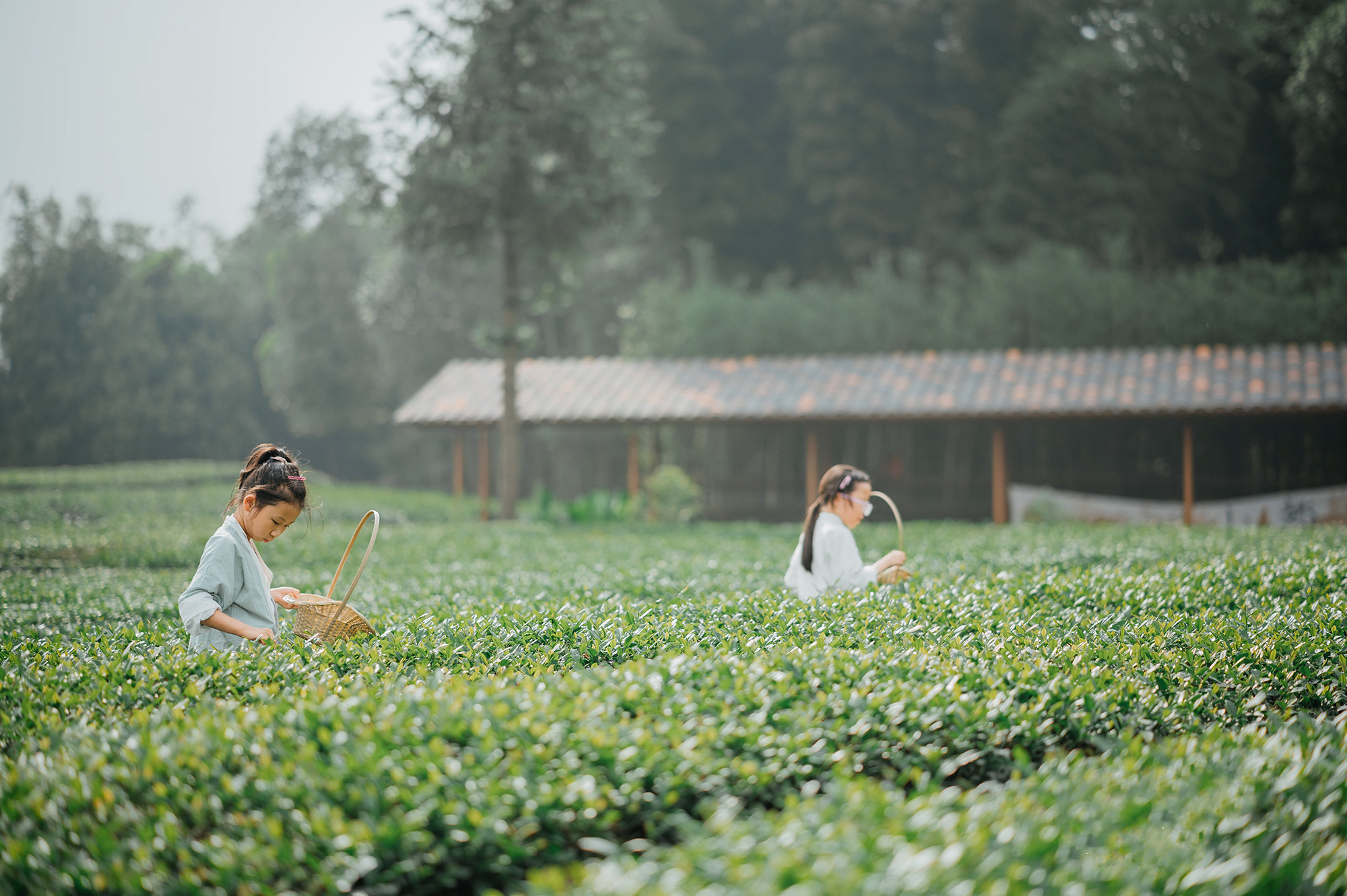 山岫茶宿·叙永丨中国泸州丨小隐建筑事务所-107