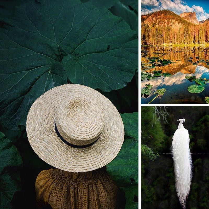 复古蜡笔色,打造轻盈甜美空间-64